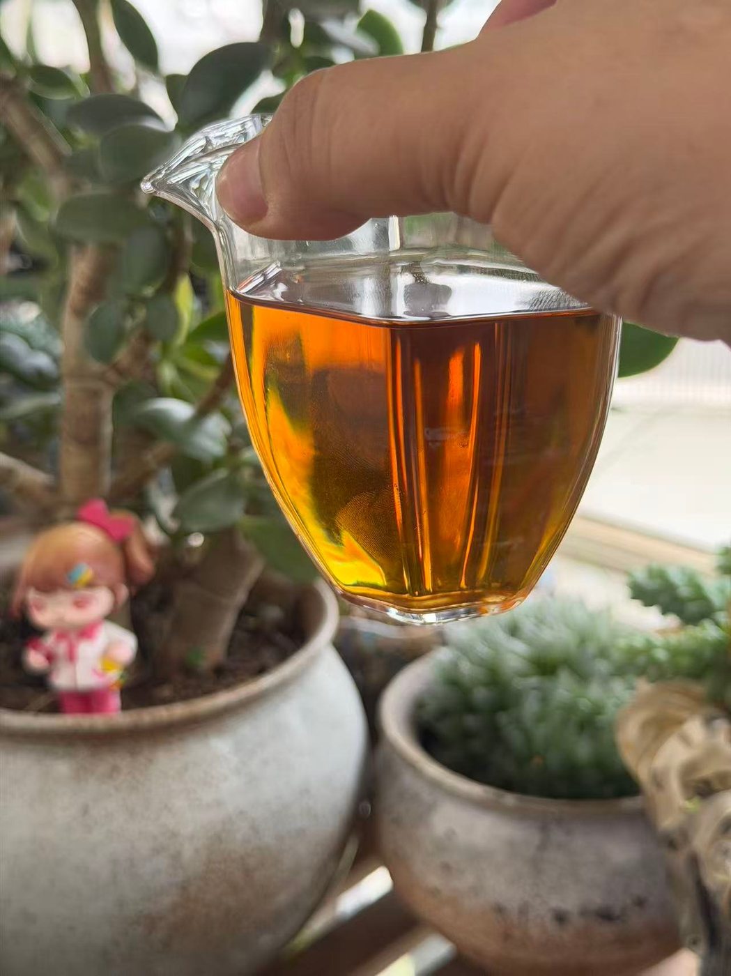 手持公道杯，金圈透亮实拍